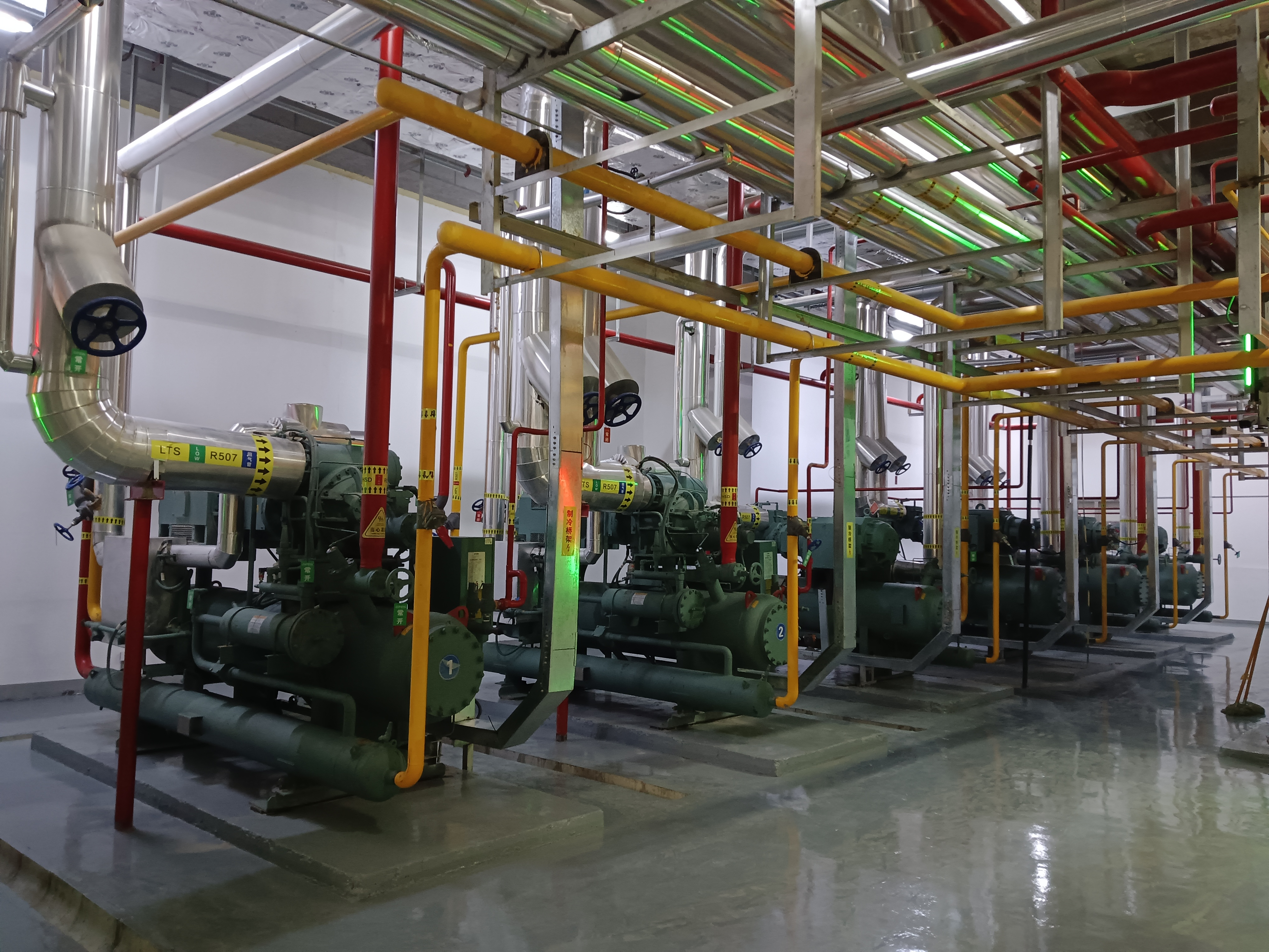 cold and temperature-controlled warehouse equipment for food storage