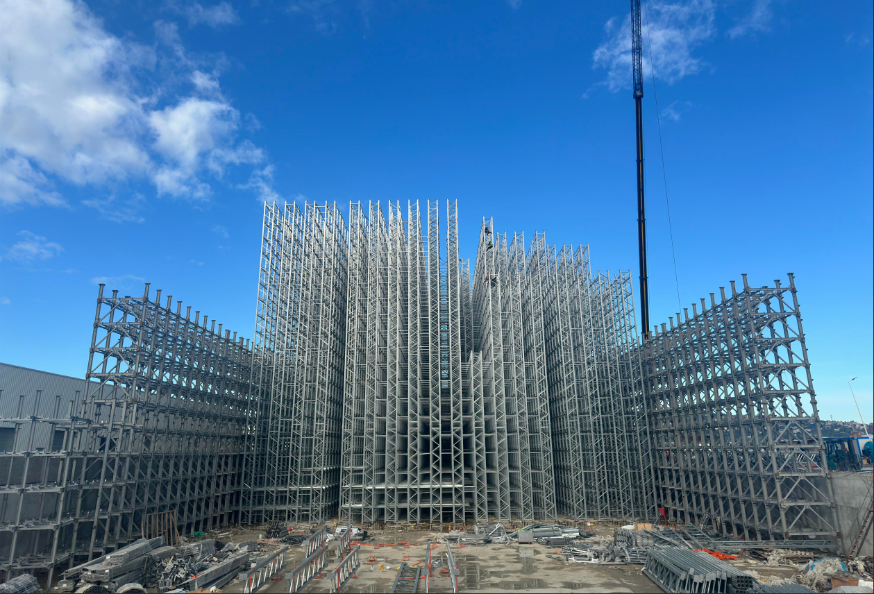 Integrated rack-supported warehouse building structure