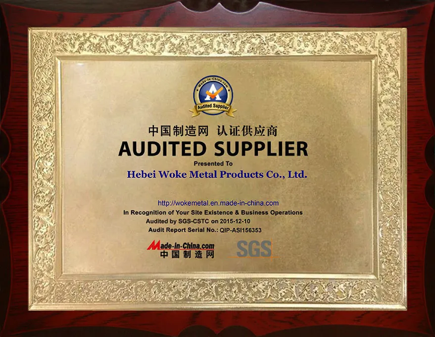 Made-in-China Verified Supplier