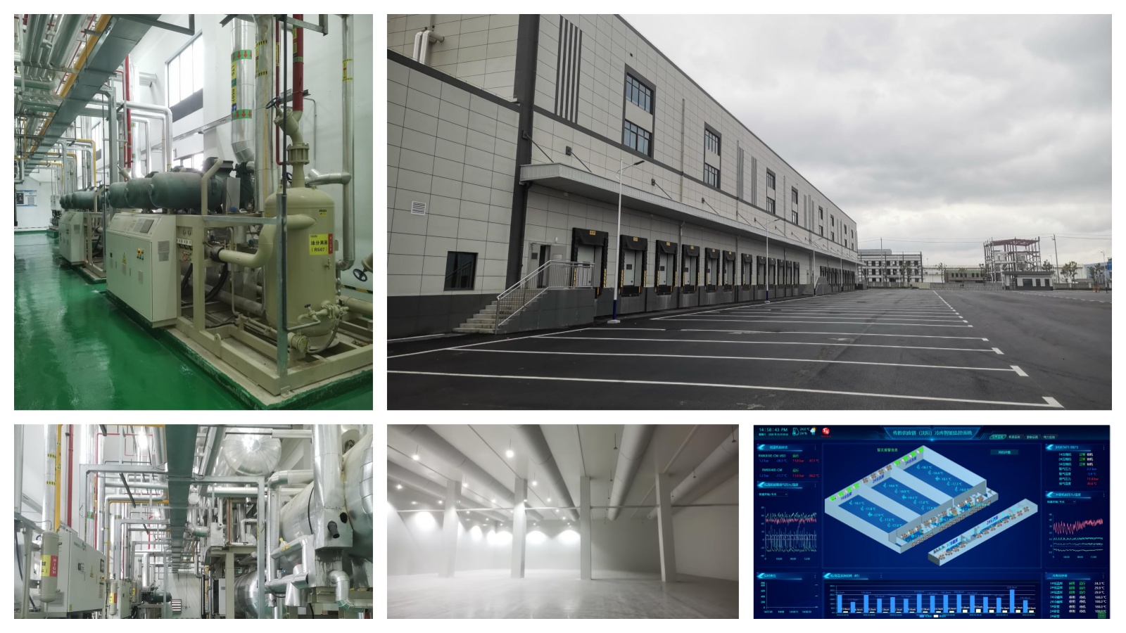Anhui Wangjiang Cold Chain Logistics Center | Intelligent Refrigerated Warehouse Solution - warehouse automation project