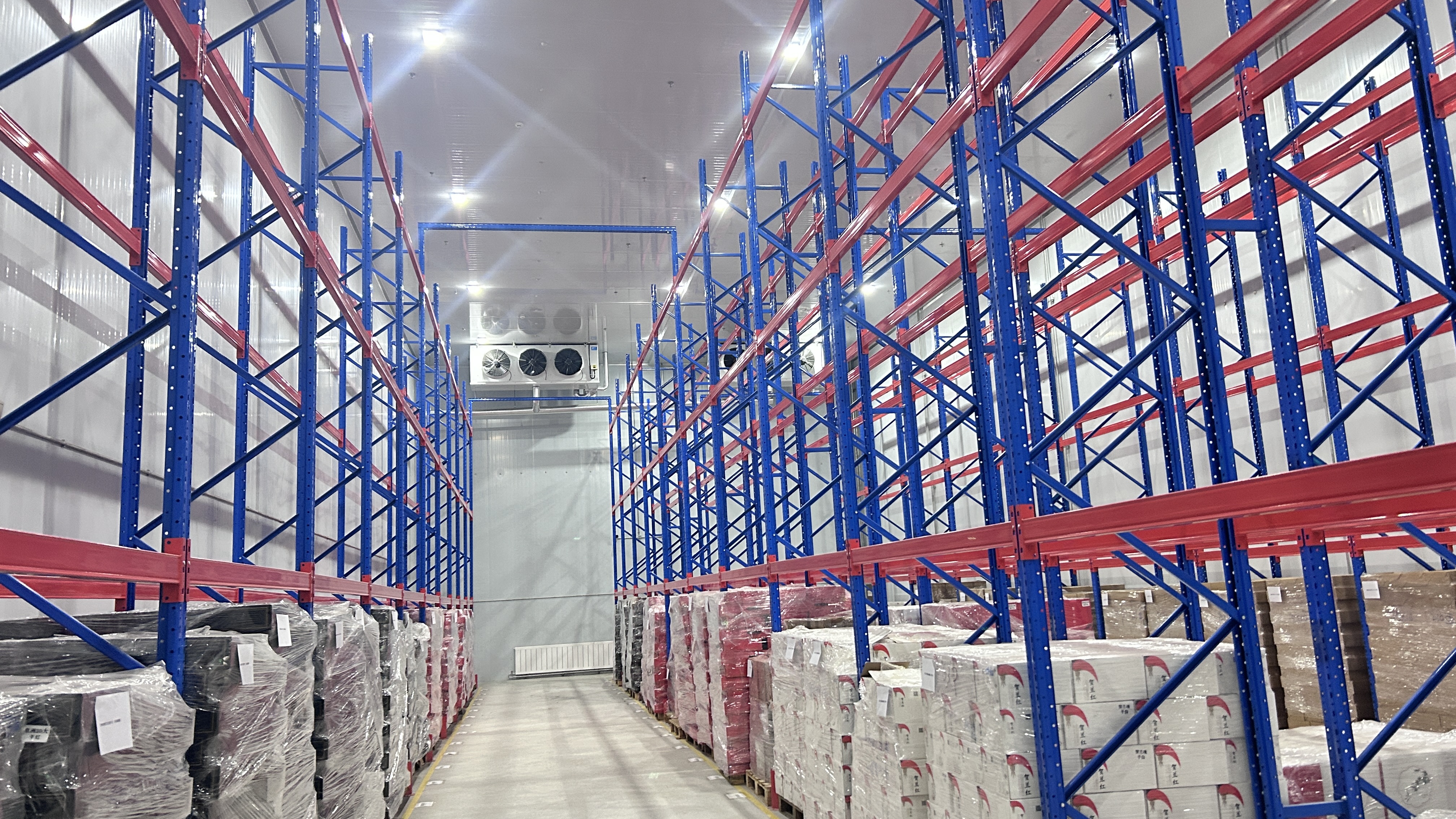 Zhuku integrated cold chain warehouse solution.jpg